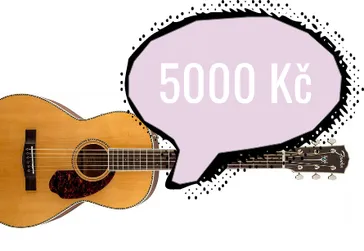 Jakou kytaru do 5000 Kč