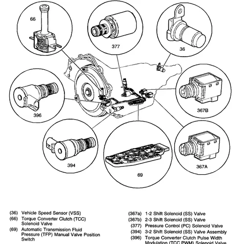 Baskytarista starší, zkušený - hledá smysluplné honorované hraní na úrovni