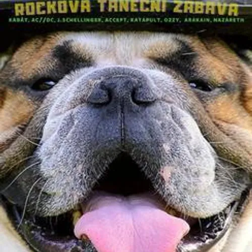 Hledáme zkušeného kytaristu