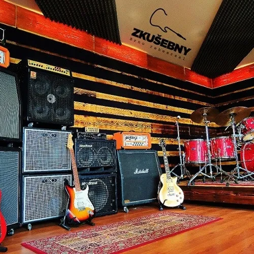 Cnidarria hledá bubeníka