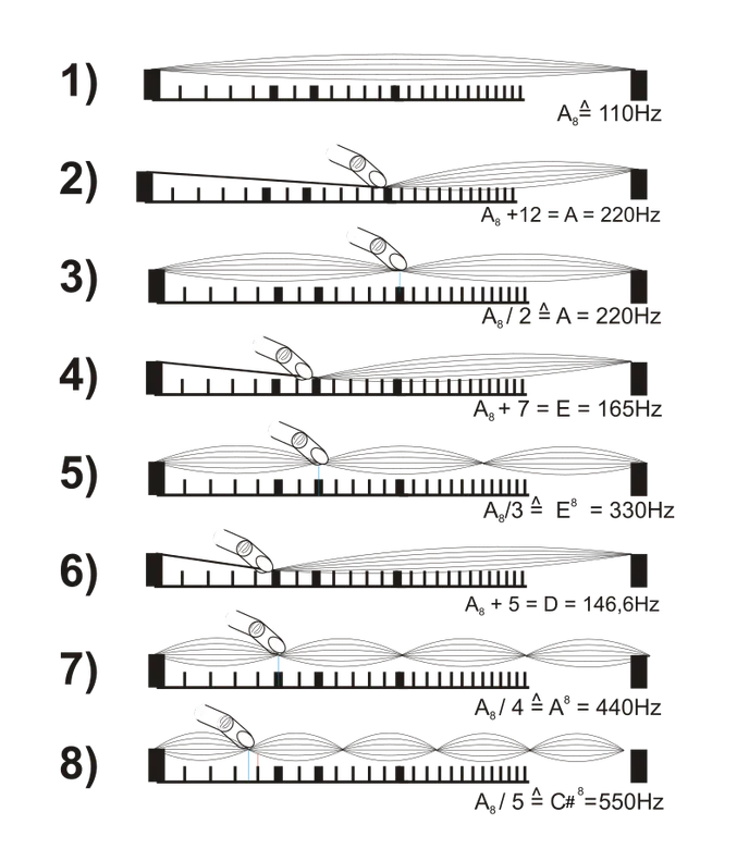 Poměry zkracování strun a frekvence flažoletových tónů<br>
